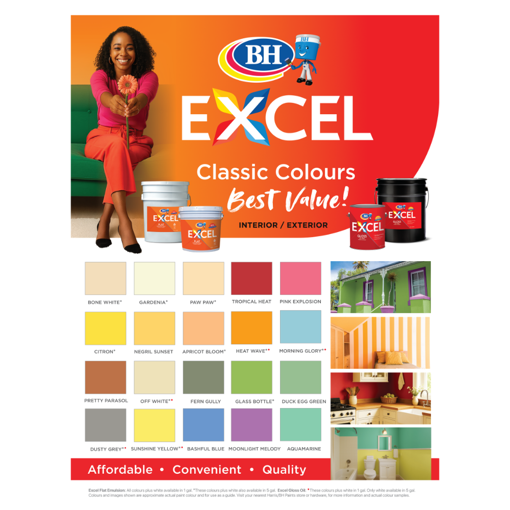 Excel Interior / Exterior Gloss Oil Paint