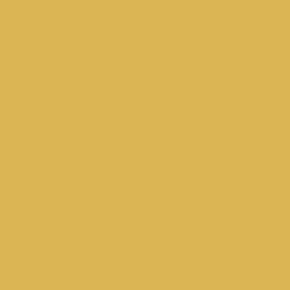 H0025 Goldrenrod is a paint colour from the new Historical Palette. Now available at Harris Paints Barabados.