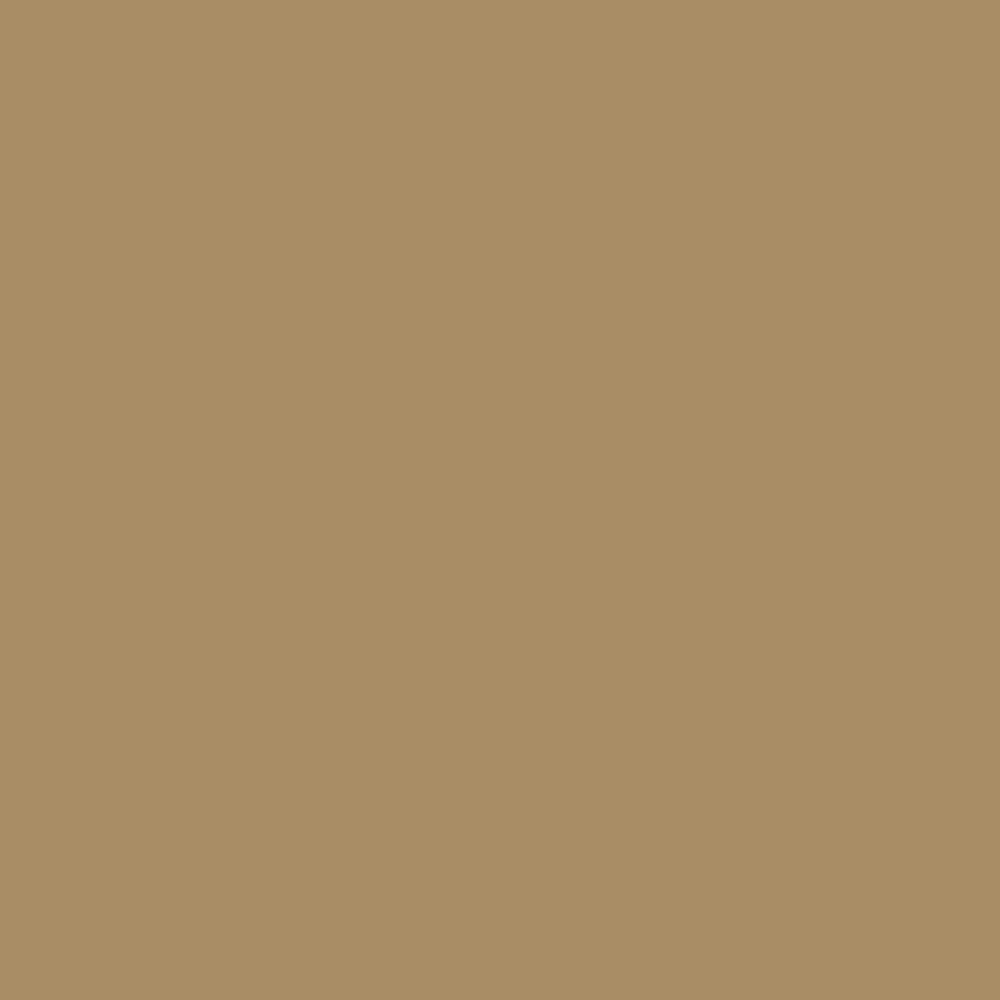 H0031 Canyon Gold is a paint colour from the new Historical Palette. Now available at Harris Paints Barabados.