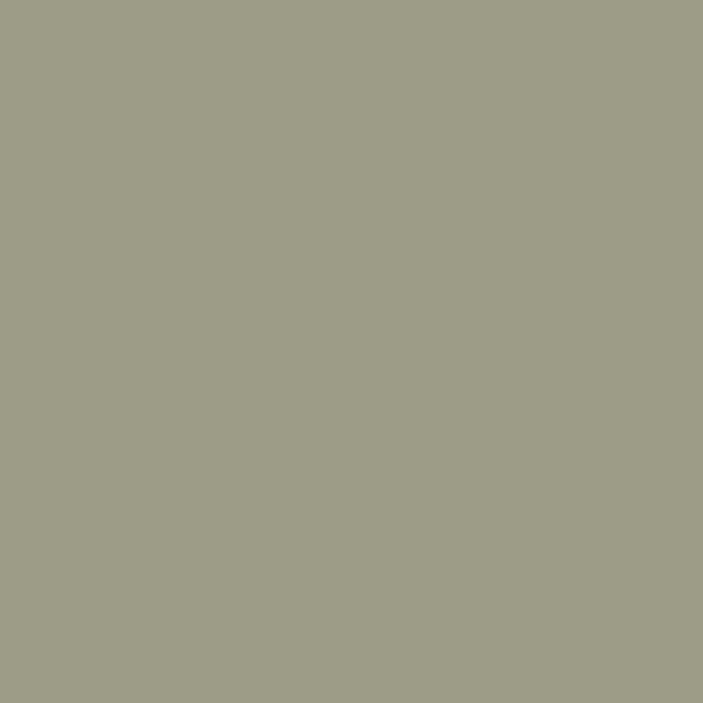 H0081 Wainscot Green is a paint colour from the new Historical Palette. Now available at Harris Paints Barabados.