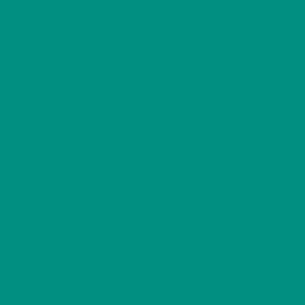 H0088 Phillips Green is a paint colour from the new Historical Palette. Now available at Harris Paints Barabados.