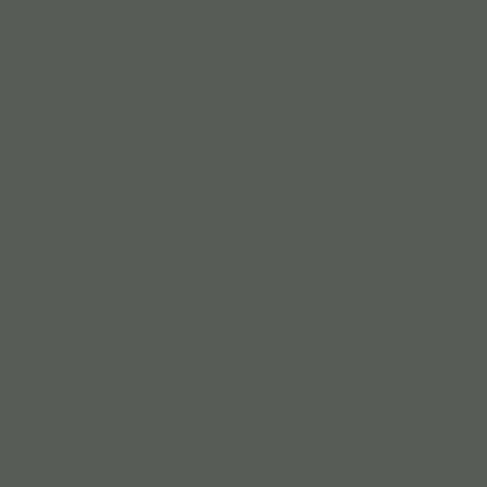 H0097 Pointed Fir is a paint colour from the new Historical Palette. Now available at Harris Paints Barabados.