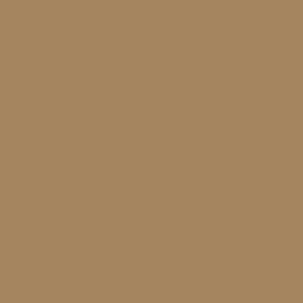 H0124 Toffee is a paint colour from the new Historical Palette. Now available at Harris Paints Barabados.