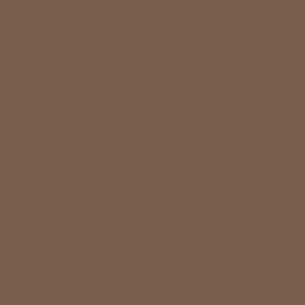 H0137 Hickory Nut is a paint colour from the new Historical Palette. Now available at Harris Paints Barabados.