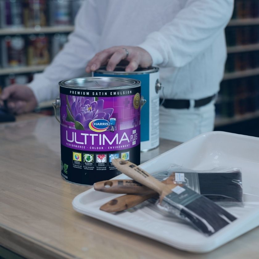 Harris Paints Barbados Shop the Caribbean Champions of Colour Online