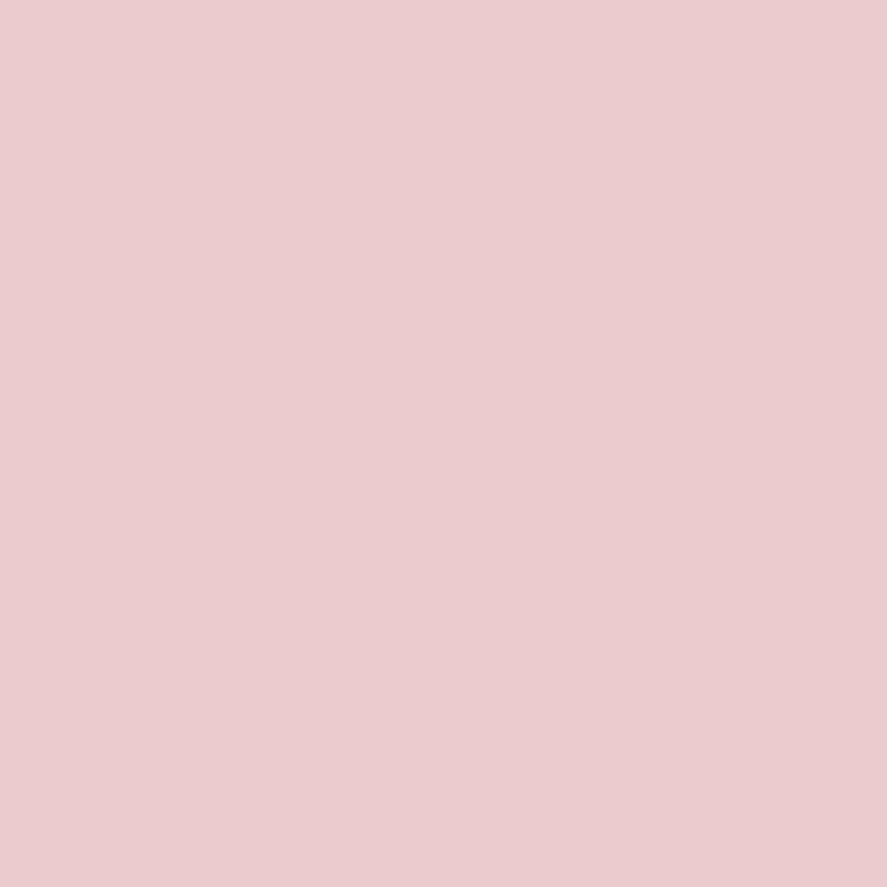 0083 Pink Coral