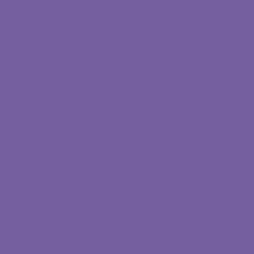 CB17-V3 Purple Rain